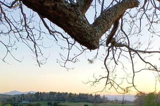 Emerald Ridge Farm - 12