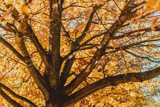 R. A. Eirmann Photography - 12