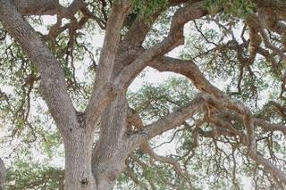 Elley Photography - 4