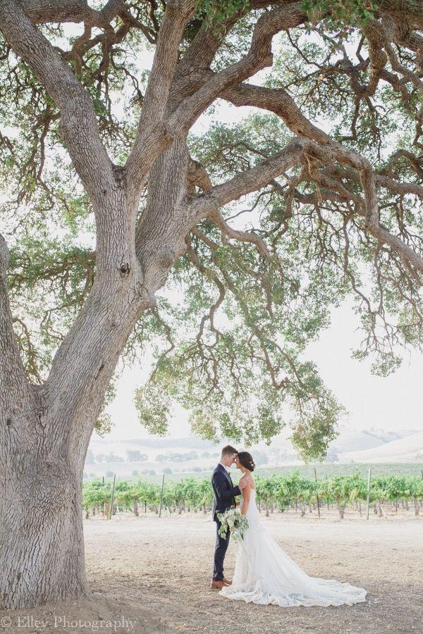 Elley Photography - 1