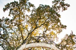 Peary Photography & Videography - 46