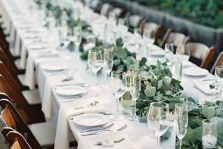 Queen Bee Party Rentals, Inc. - 6
