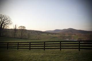 Marriott Ranch - 25