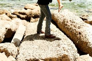 Siera Harbin Photography - 24