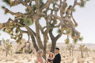Love Story Vows - 50