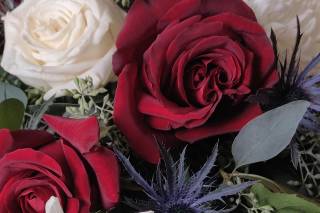 Perkasie florist - 48
