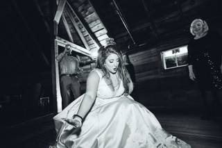 Todd Stoilov / Still & Motion - 29
