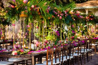 Angela Nelson Photography - 61