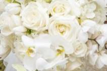 Frankie Leland Events - 9