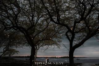 Love, Sunday Photo - 81