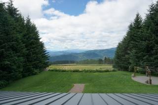 Gorge Crest Vineyards - 41