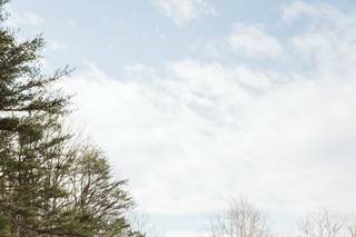 Amy Weits Photography & Designs - 18