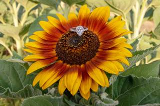Southern Grace Studios - 33