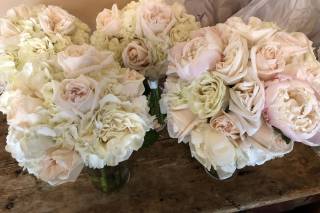 Every Bloomin' Thing - 23