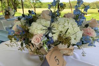 Lodi Flowers - 32
