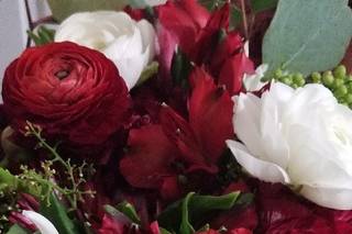 Tropic all Blooms n' More - 70