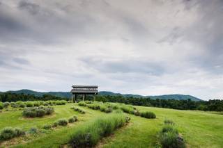 Beliveau Farm - 15