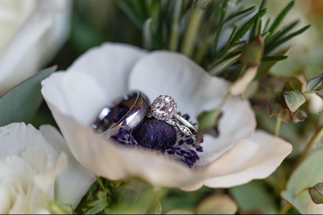 Amelya Jayne Photography, LLC. - 3