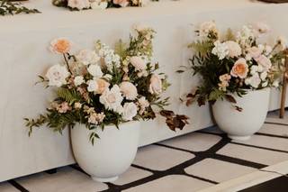 Ivory and Beau - 36