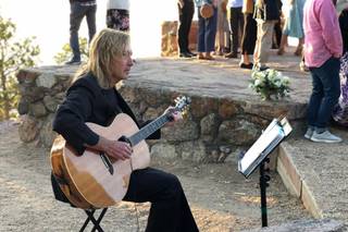 Guitarist Bill Sickles - 7