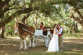 Erica Braley Photography - 94