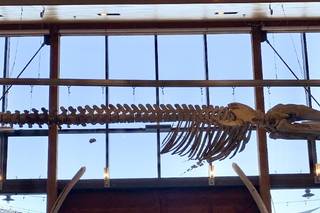 unoaked. Event Design & Production - 31