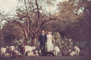 Justin Kim Photography - 33