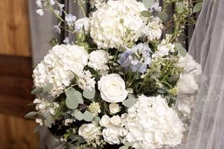 Mayfly Flowers - 60