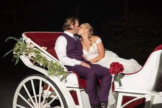 Priceless Carriage Company - 4