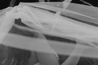 Lauren Finch Photography - 5