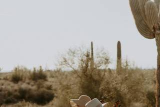 Ocotillo - 5