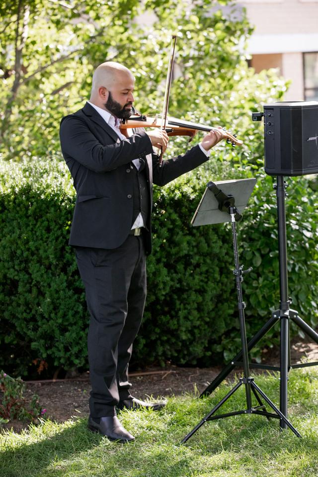 James Teal Violin - 2