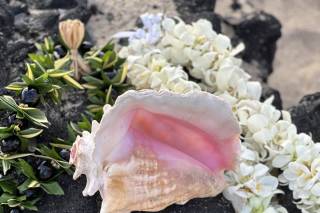 Simple Kona Beach Weddings - 33