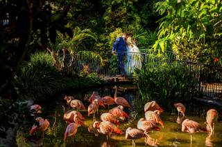 Sunken gardens - 66