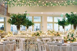 Trivien Events - 30