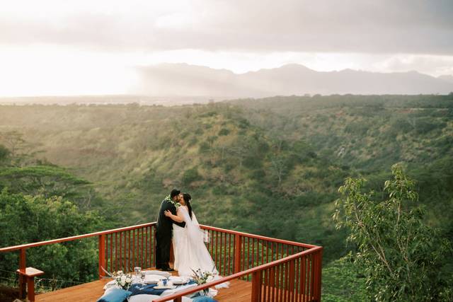 Hawaii Vista Weddings 2