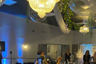 Party vibes entertainment llc - 22