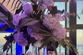 Tropic all Blooms n' More - 75