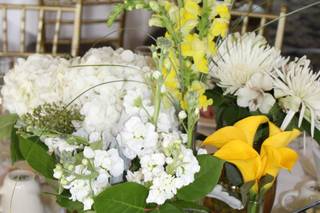 Bassett Flowers - 11
