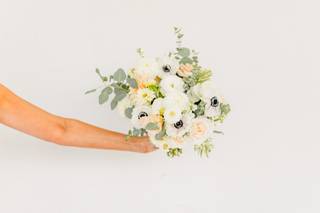 Carissa Corsi Events - 5