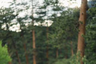 Della Terra by Wedgewood Weddings - 77