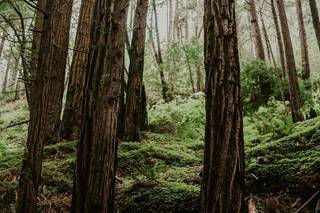 Joshua Rose Photography - 56
