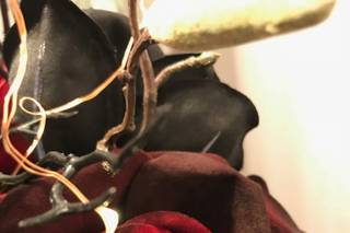 Minter & Richter Designs - 1