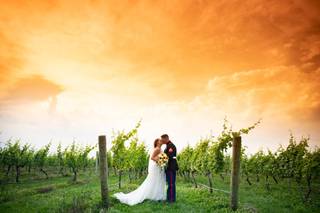 Marco Photography & Video - 8