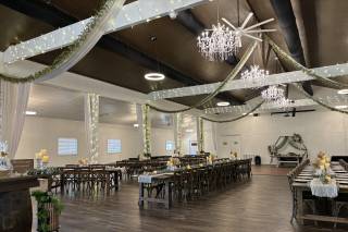 Ever After Farms Vineyard - 24