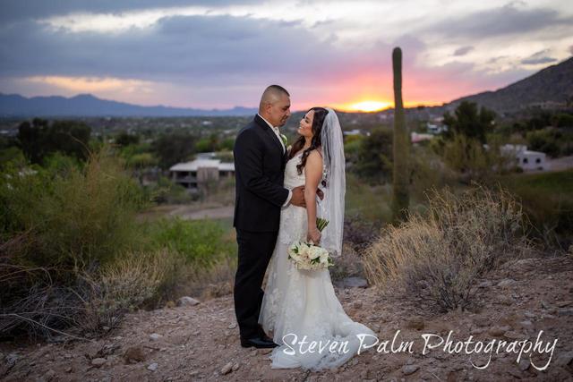 Steven Palm Photography - 3