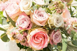 Neubauer's Flowers - 1