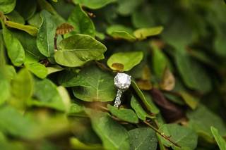 Masina Diamonds - 47