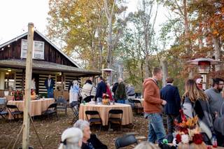 Nolichuckey Bluffs Bed & Breakfast Cabins & Wedding Venue - 53