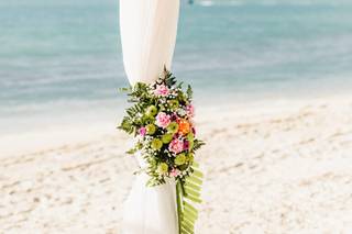 Candace Nicole Photography - 12
